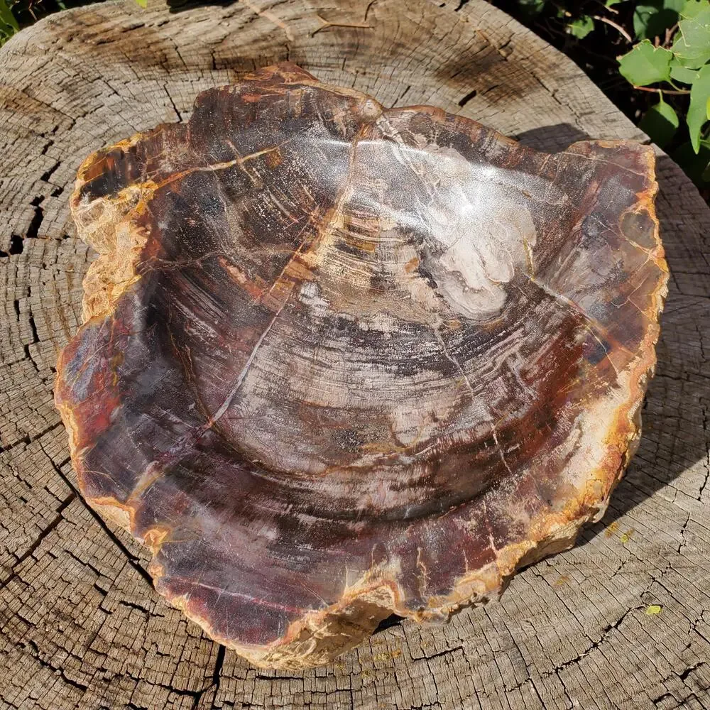 13lbs+ Red Brown XL Petrified Wood Fossilized Bowl 6210 grams